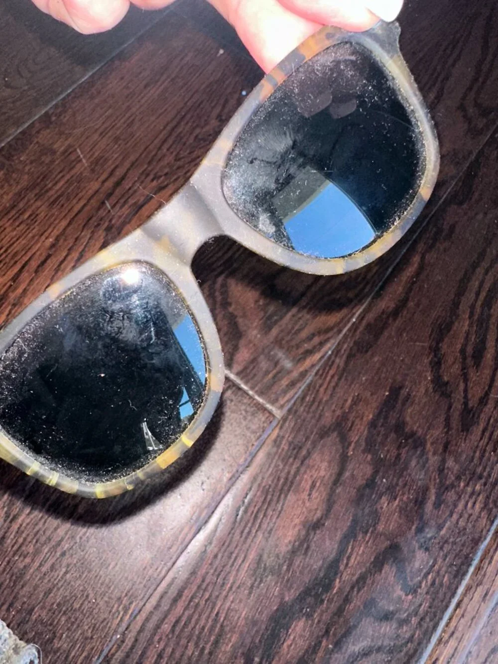 Pugs Women's Tortoise Shell Wayfarer Sunglasses